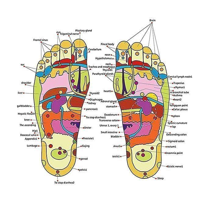 Acupressure Foot Relaxer Massager Slipper With 3 Pair Socks